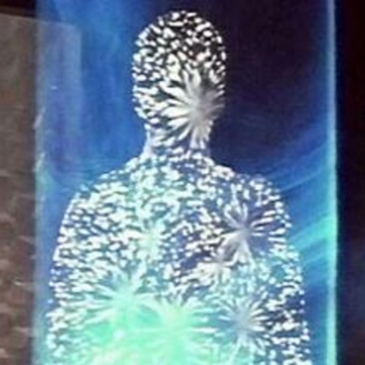 Riohv + Little Tapes