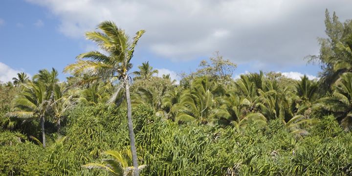 Sacred Lomi Atlanta, GA • 3 Day Lomi Lomi Workshop