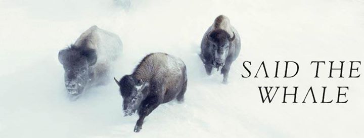 Said the Whale / Montréal