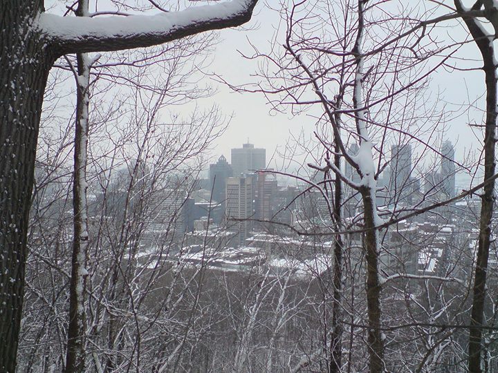 Salon Expert Chasse Pêche et Camping (page non-officielle)