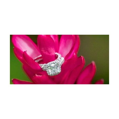 Salon International de la mariée Divine Bridal Show