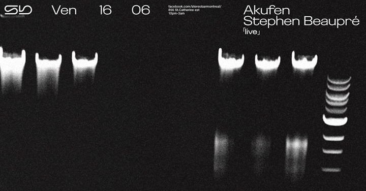 Sb : Akufen - Stephen Beaupré (Live)
