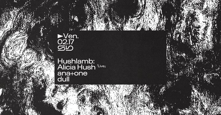 Sb : Alicia Hush (Live) / ana+one / dull