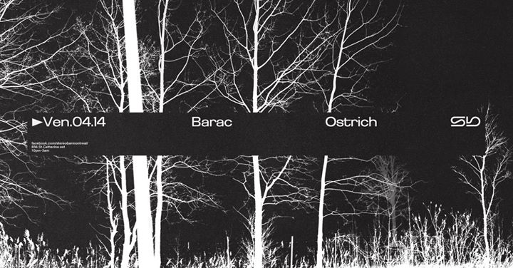 Sb : Barac - Ostrich