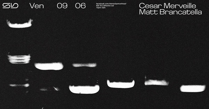 Sb : Cesar Merveille - Matt Brancatella