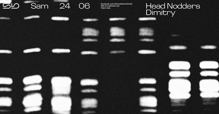 Sb : Head Nodders - Dimitry