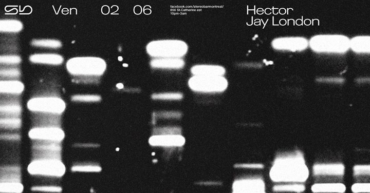 Sb : Hector - Jay London