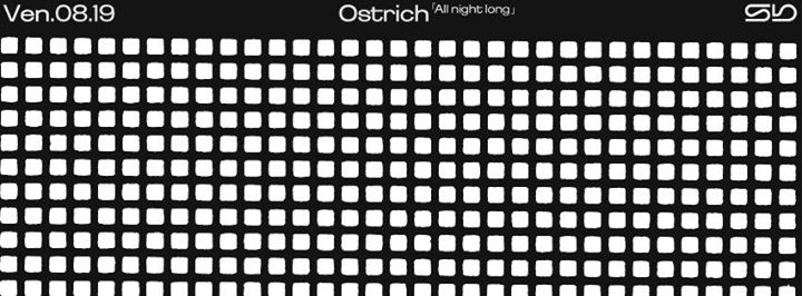 Sb / Ostrich (All Night Long)