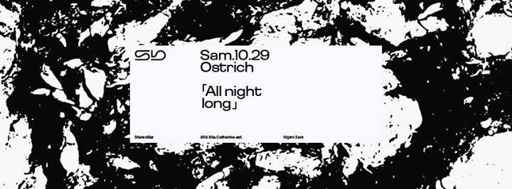 Sb : Ostrich [All Night Long]