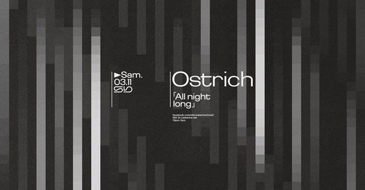 Sb : Ostrich (All Night Long)