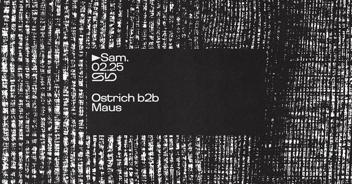 Sb : Ostrich b2b Maus