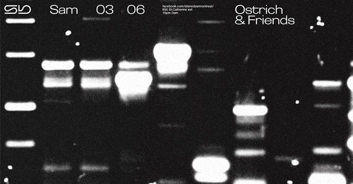 Sb : Ostrich & Friends