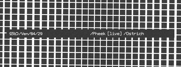 Sb :: Pheek (live) - Ostrich