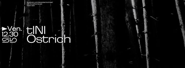 Sb : tINI - Ostrich