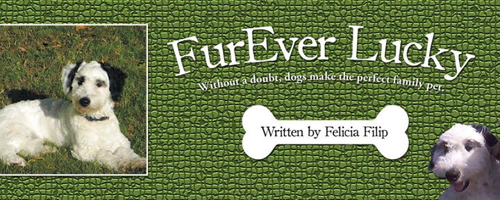 Scéance de dédicaces/Book Signing: Felicia Filip