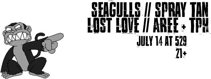 Seagulls, Spray Tan, Lost Love (Montreal), Aree and the Pure Heart at 529