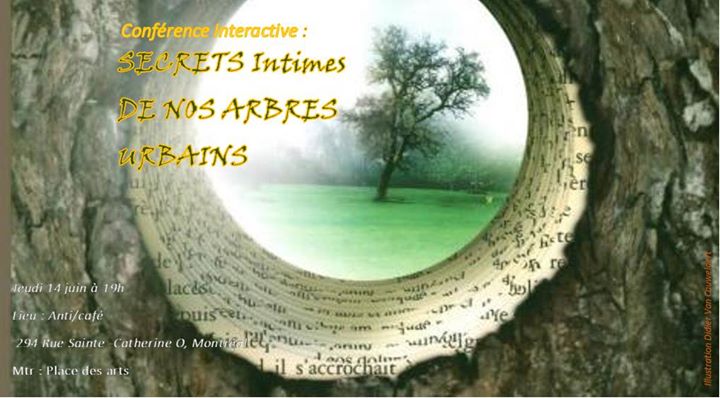 Secrets intimes de nos Arbres Urbains
