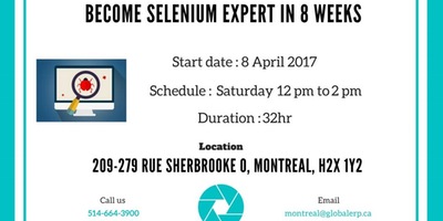 Selenium Training in Montreal 