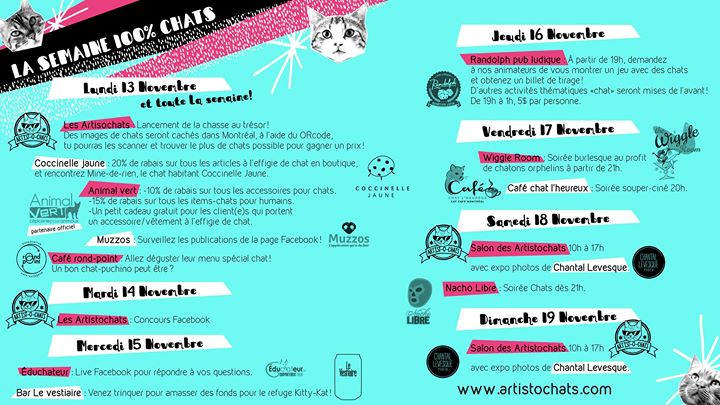 Semaine 100% chats!