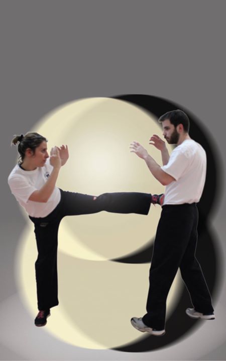 Séminaire de Krav Maga / Autodéfense