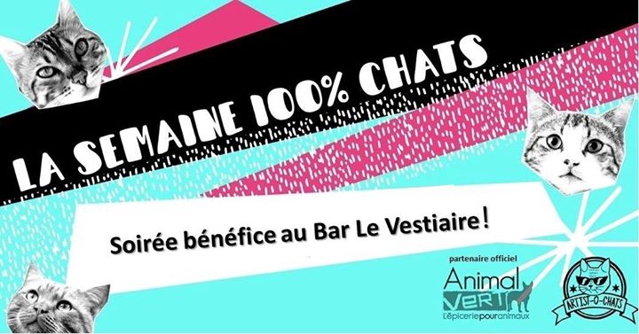 Soirée bénéfice pour le refuge Kitty-kat au Bar le Vestiaire