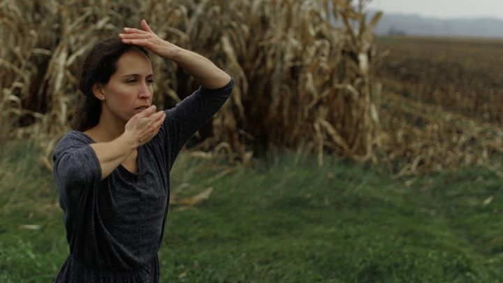 Soirée de courts-métrages!