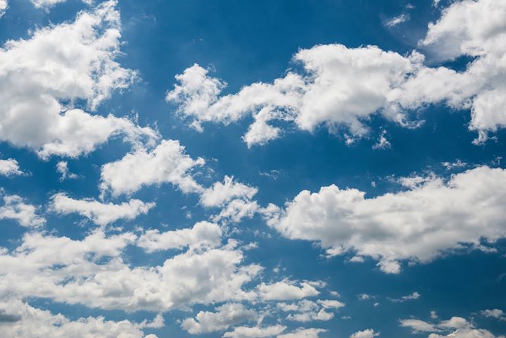 Soirée entre gens du cinéma / Screening & Industry Event