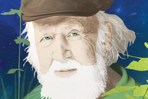 Soirée cinéma - La Terre vue du cœur