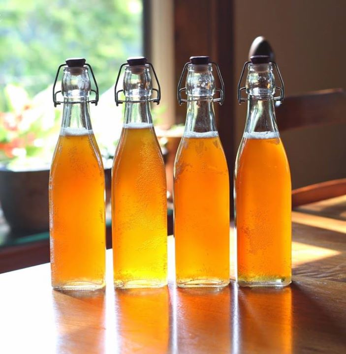 SOLD OUT! Kombucha Workshop - Atelier de Kombucha