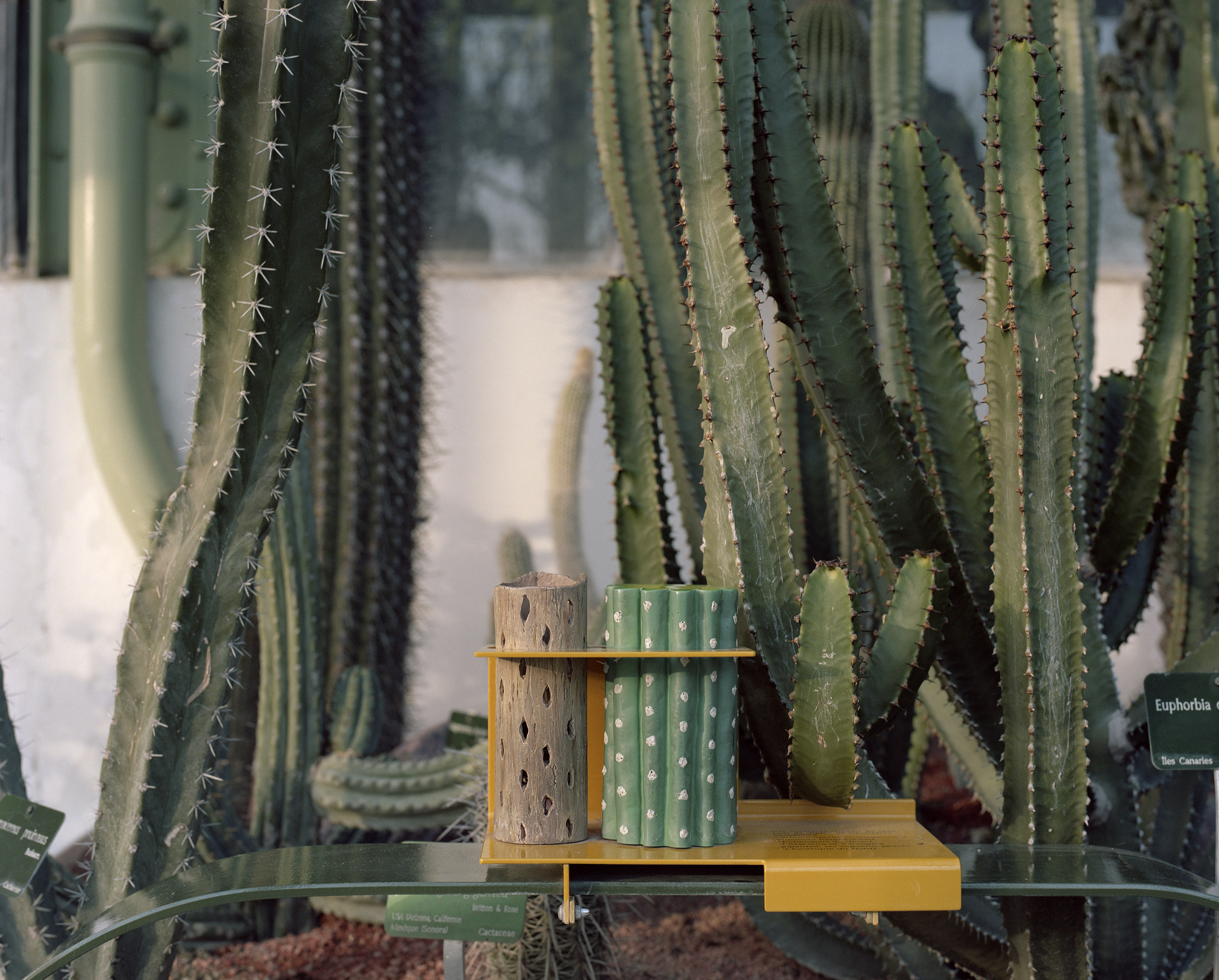 Soleil - Lorna Bauer