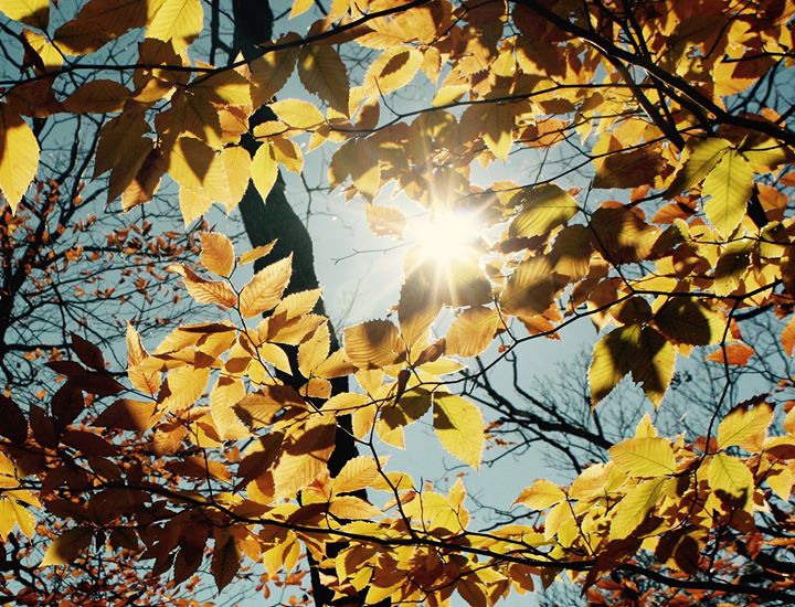 Sommet étudiant en DD de l'UDES