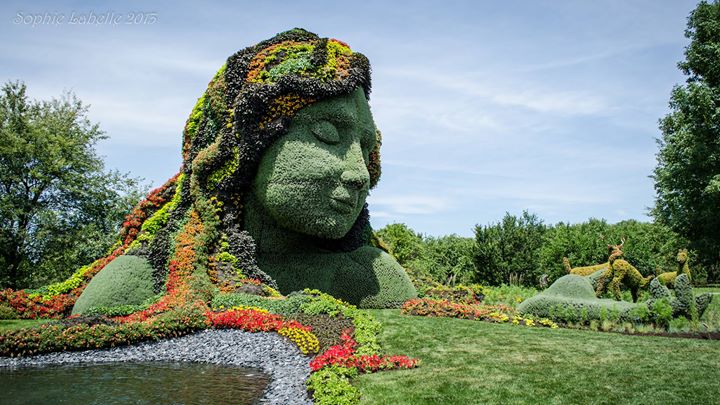 Sortie Jardin Botanique & Insectarium / Aééséum et Aéspéium