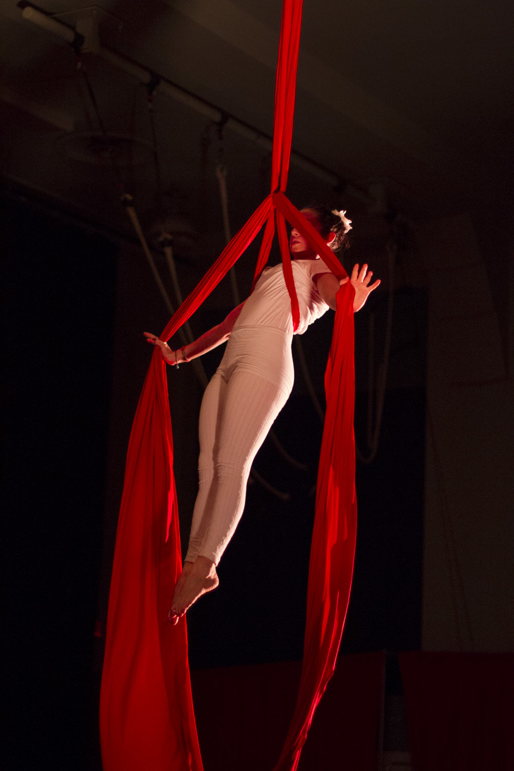 Spectacle de cirque GRATUIT !