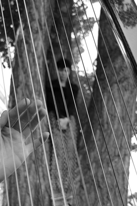 StillMess at Factory 999-44