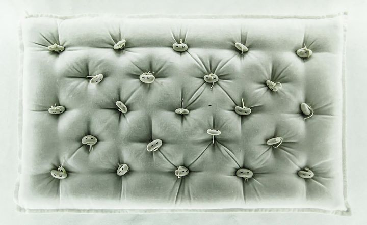 TABLE RONDE AVEC LES ARTISTES ISRAËLIENS