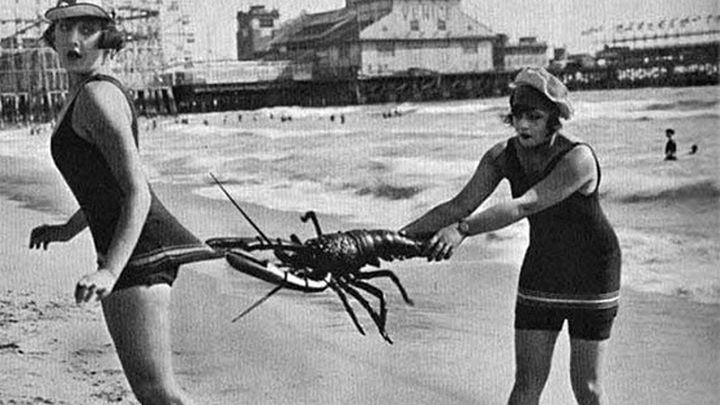 Tacos-Terrasse au Rouge Gorge!