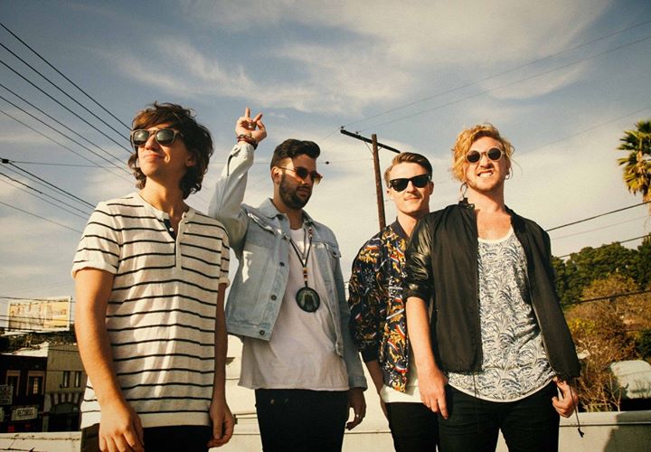 The Griswolds, Dreamers, Camera Cult