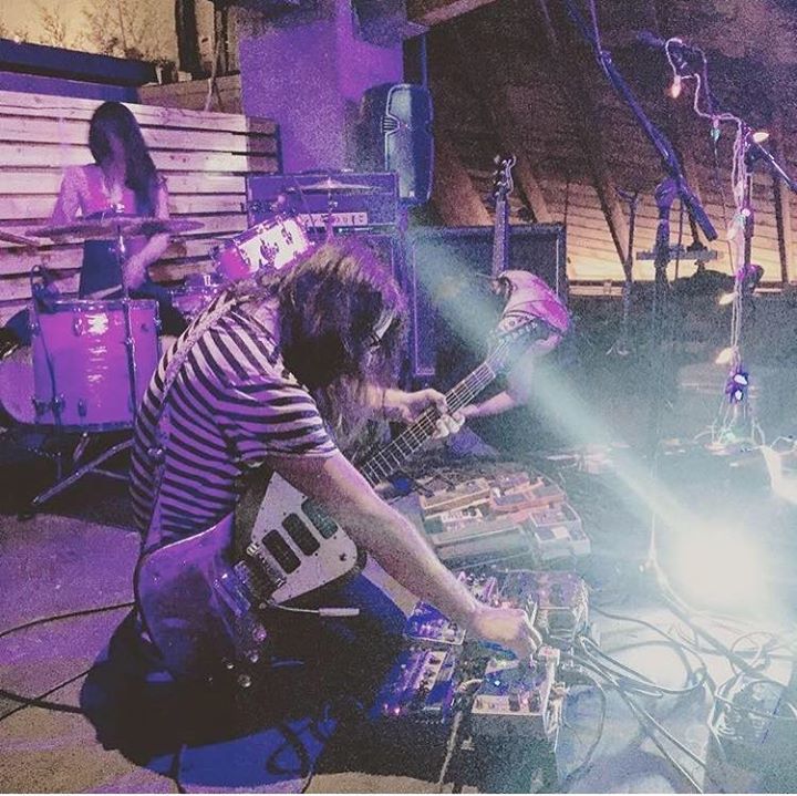 The Stargazer Lilies + The Stargazer Lillies + The City Gates + Boy