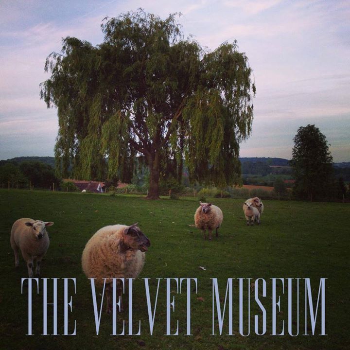 The Velvet Museum