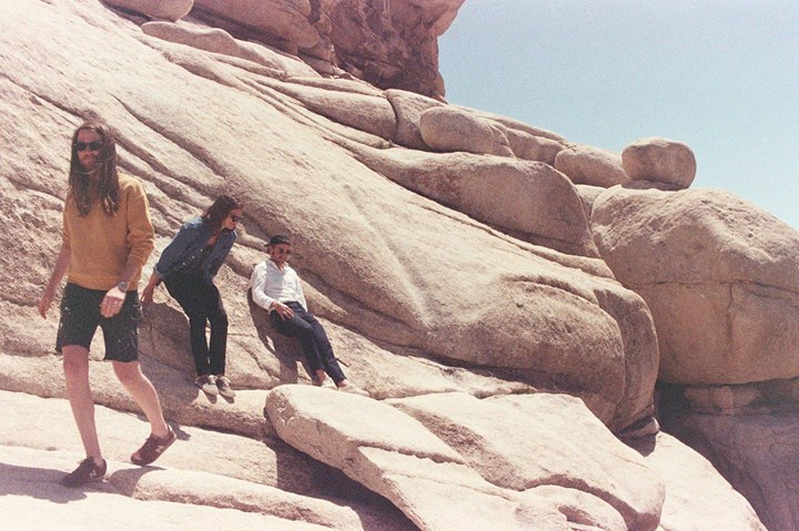 The Wooden Sky • Los // Samedi 28 janvier 2017 // La Petite Boite Noir