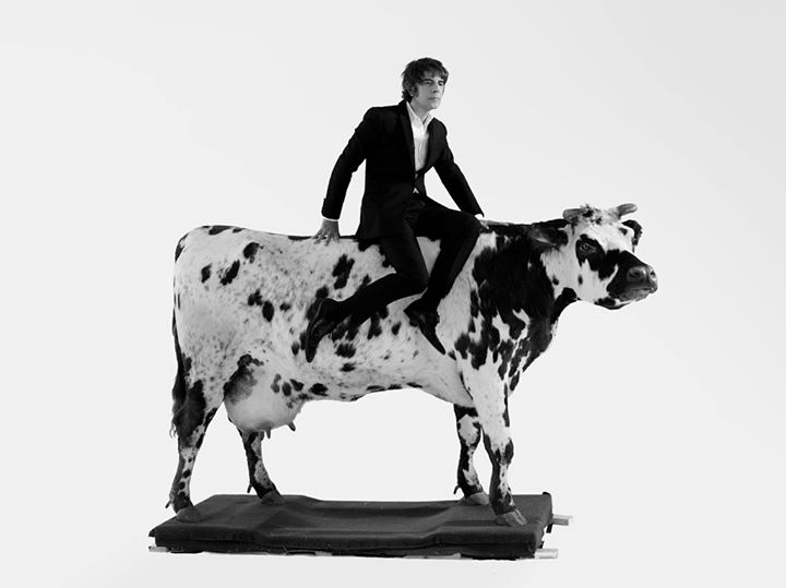 Thomas Fersen / 1re partie : Marcie ★ FrancoFolies