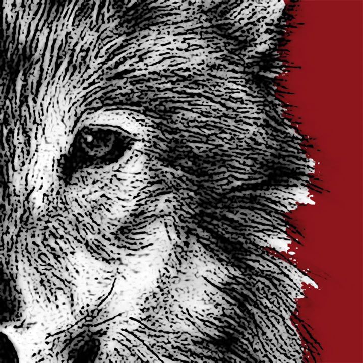 Tomy Paré // Sortie du nouvel album