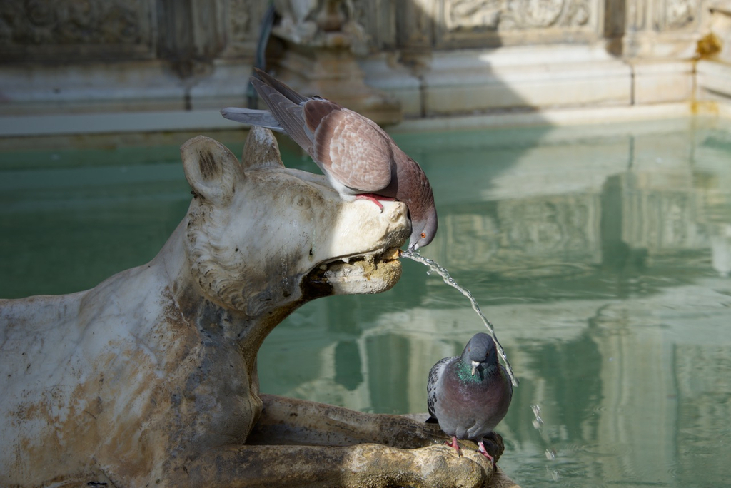 Toscane, terre d'harmonie, avec Marc Laberge