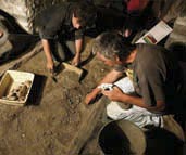 Tournée découverte