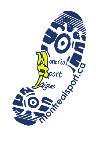 Tournoi de Volley-ball