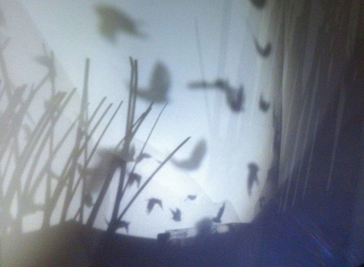 Traces Installations insulaire - Dominique Leroux - Dès le 26 novembre