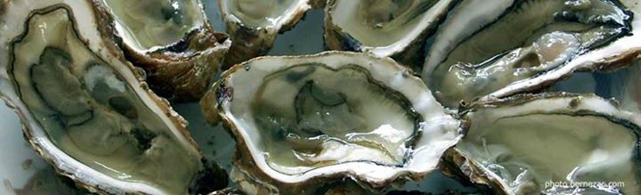 Traditionnel Party d'Huîtres à 1$/unité