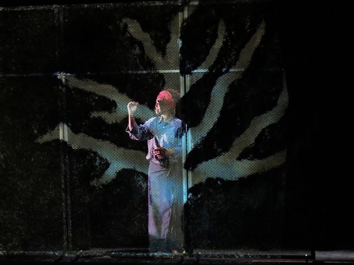 Traversée - Voyageurs Immobiles, Cie. de création (Montréal)