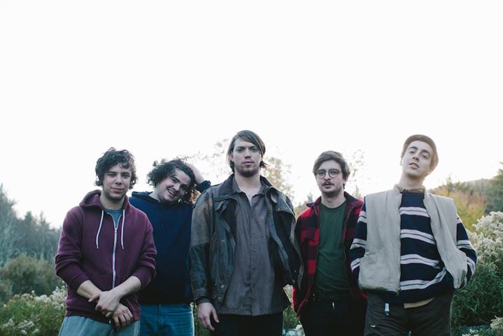 Twin Peaks with Chrome Pony, Post Animal