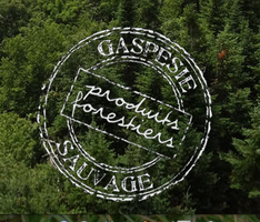 Une Nuit Sauvage / One Wild Night